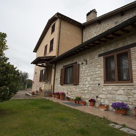 Assisana Affittacamere Santa Maria Degli Angeli  Zewnętrze zdjęcie