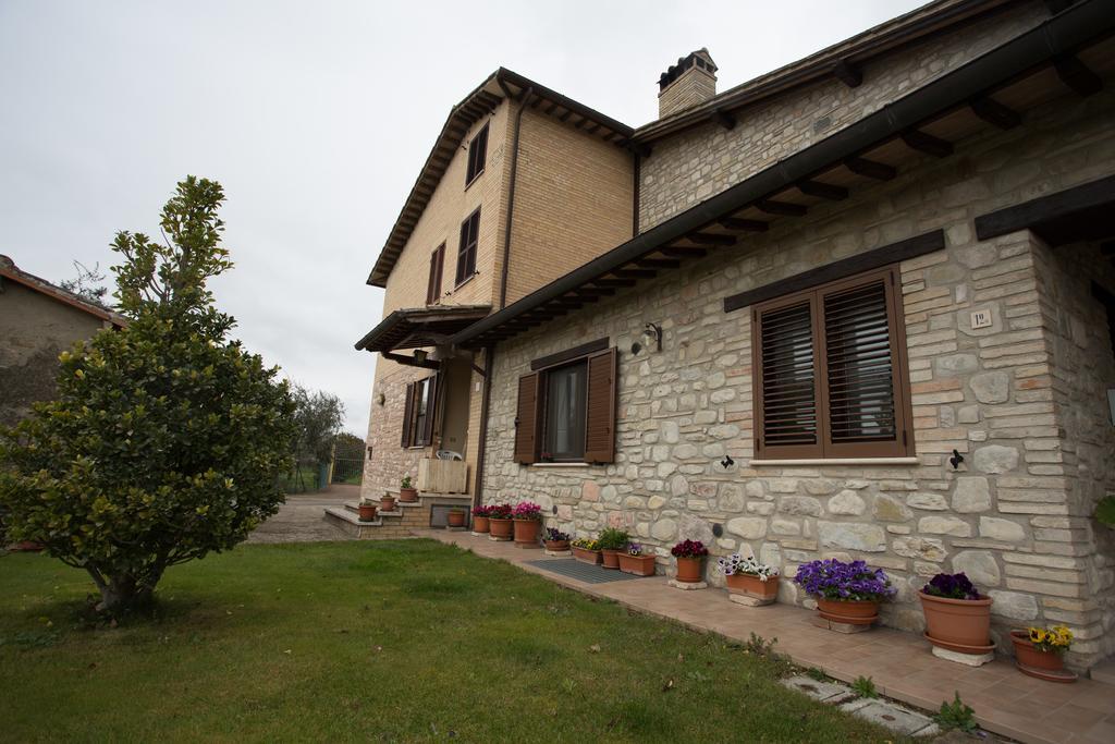 Assisana Affittacamere Santa Maria Degli Angeli  Zewnętrze zdjęcie